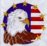 eagleandflag8.jpg